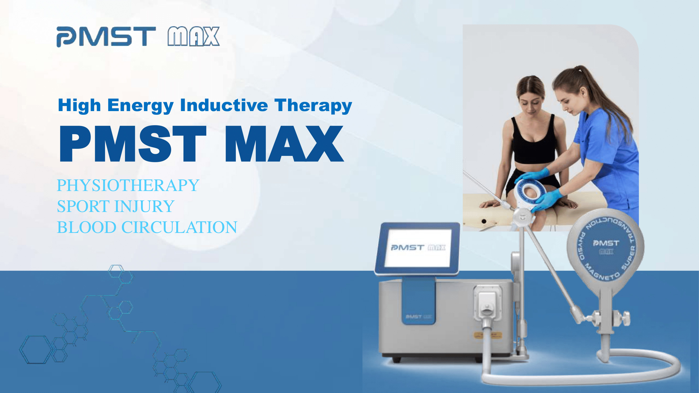 Pemf Magnetic Therapy Health Pulsed Electromagnetic Stimulation Therapy Pemf Device For Equines