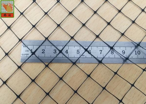 Quality Agricultural Plastic Anti Mole Netting , BOP Black Bird Control Netting for sale