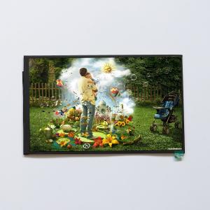 China Small 8 Inch TFT LCD Display Module With Touch Panel 800*1280 Dots Resolution wholesale