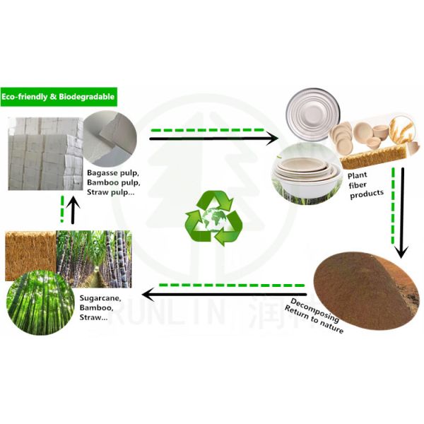 Disposable Clamshell Biodegradable Microwave Natural Sugarcane Pulp Packaging Tray