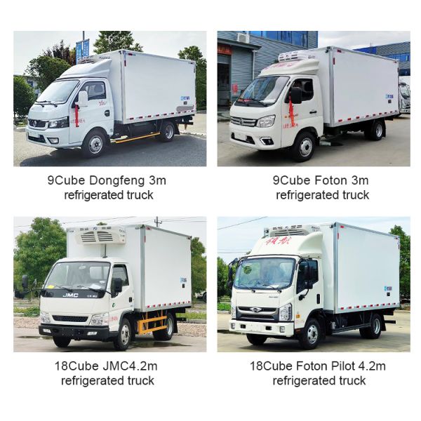 Changan 3ton Small Refrigerated Truck for Transporting Refrigerated Fresh Vegetables and Fruits Temperature Range -18