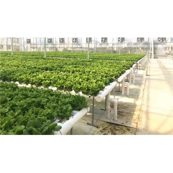 Greenhouse Hydroponic Vertical NFT Hydroponic System Soilless Vegetable Planting Troughs