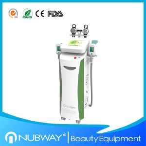 Multifunctional Fat Freeze Ultrasound Beauty Machine Tripolar Monopolar RF