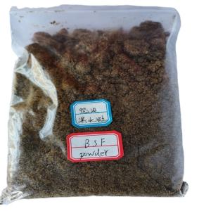 China Yellow Dried BSF Larvae with Guaranteed 1 Year Shelf Life wholesale
