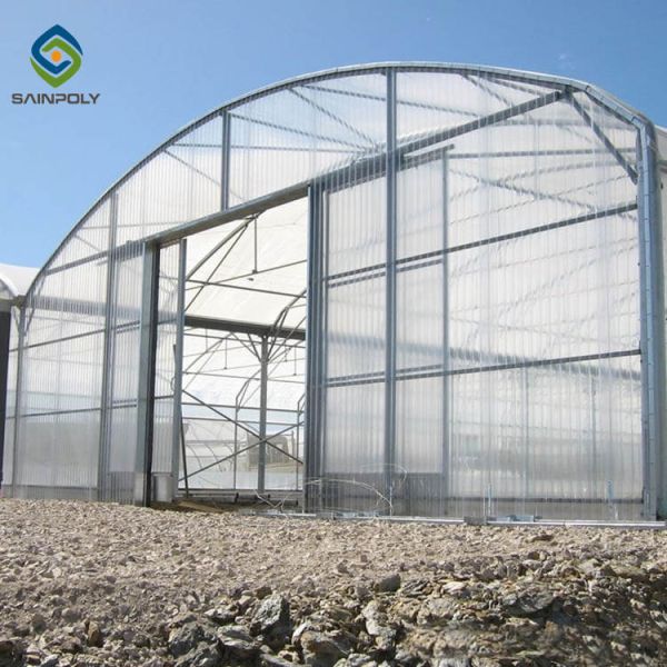 China Commercial Multi Span Greenhouse Galvanized Steel PC Sheet Span 12m wholesale