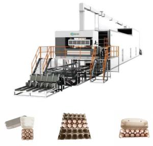 Customized Egg Tray Molding Machine Fully Automatic With Recycled Paper