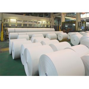 Brightness Paper Co., Ltd.