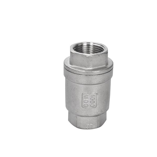 Quality Channel Straight Through Type Direct Supply 304/316 Stainless Steel Vertical Check Valve for sale