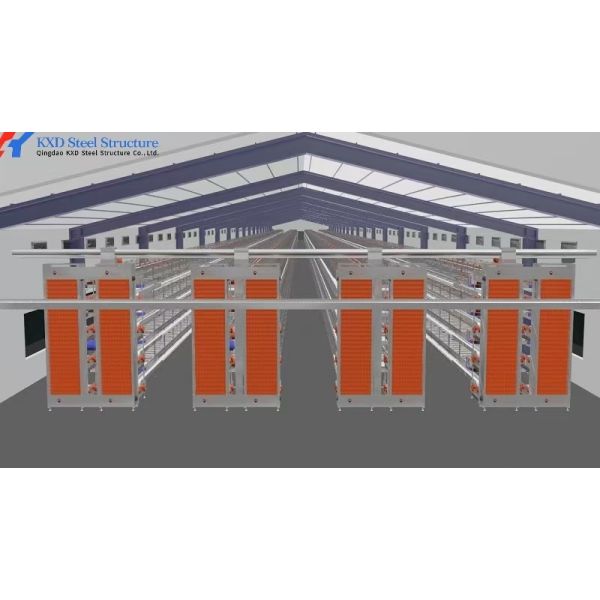Automatic Equipment Chicken Layer Cages Hot Dip Galvanized Steel Material
