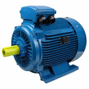China YE3 Series 8 Pole 3 Phase Induction Motor Three Phase Asynchronous Motor wholesale