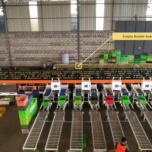 China Customizable 12 Tons Large Capacity Orange Sorting Machine With Up To 50 Discharge Ports wholesale