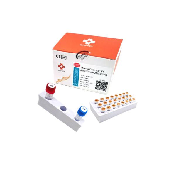 Quality PCR T Foetus Cat DNA Test Kit Taqman RT Nucleic Acid Testing Kit ISO 13485 for sale