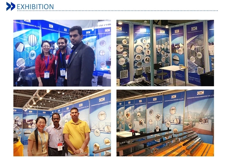 High Quality Roller Chains API Approved Multiple Strands Oil Field Chain for Petroleum Equipment