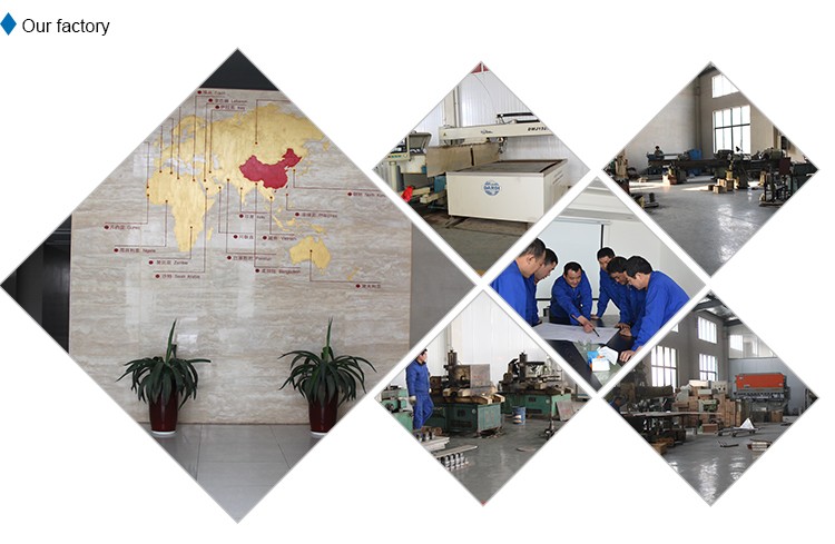 220V Quail Plucking Machine For Chicken Duck Goose Bird Meat Processing Machinery