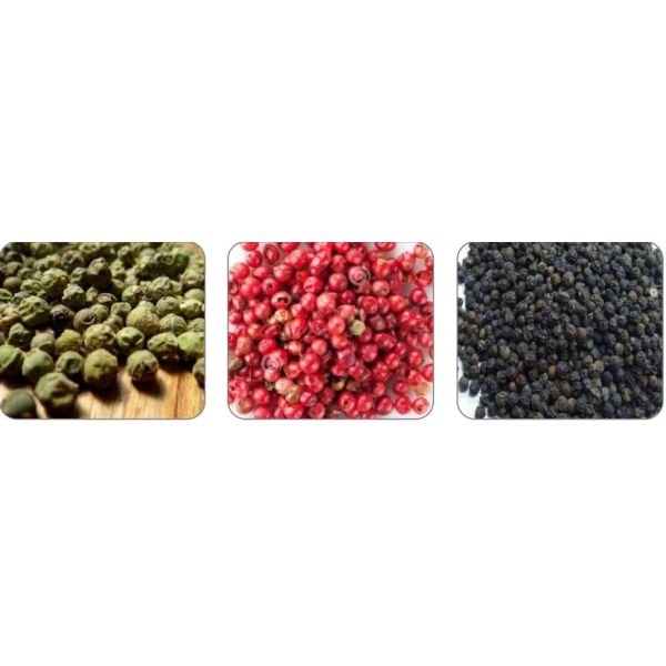 1 Chute White Black Pepper Sorting Machine Waterfall Structure Multi function