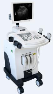 China Middle-end Trolley BW Veterinary Ultrasound Scanner wholesale