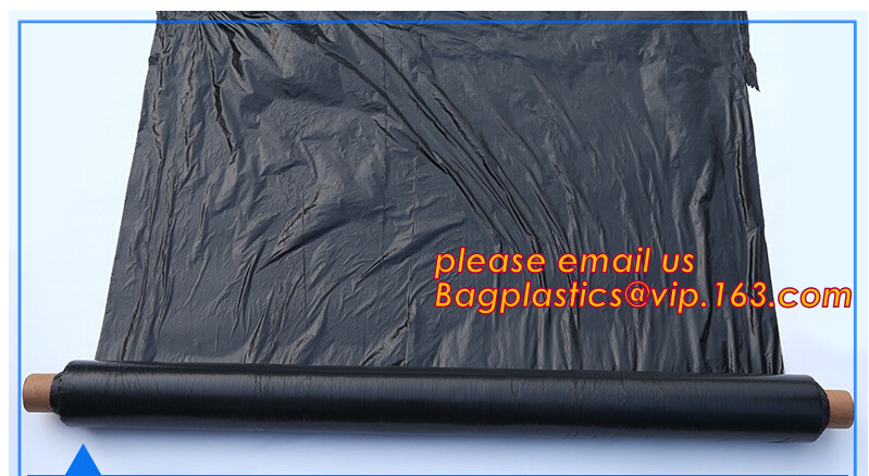 HOTICULTURAL MULCH FILM,AGRICULTURAL PE FILM,MARKET GARDENERS CLOCHE FILM,PE FILM FOR CORN,PLASTIC FILM COVER,TOMATO COV