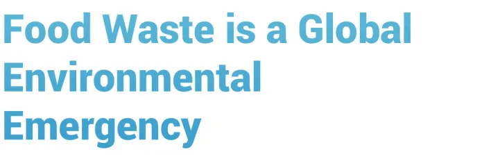 Biological Countertop Compost Machine Recycle With Air Switch Control