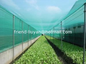 China UV Treated Agriculture Insect Net wholesale