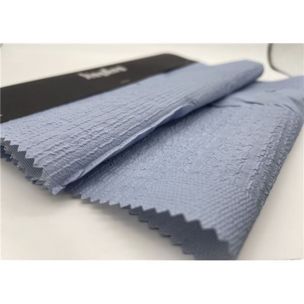 20D Nylon Polyester Fill Down Jacket Material