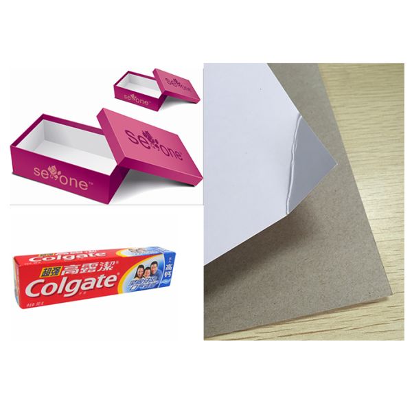 Single Side Coated Duplex Paper Board With Grey Back For Roll Package 250g