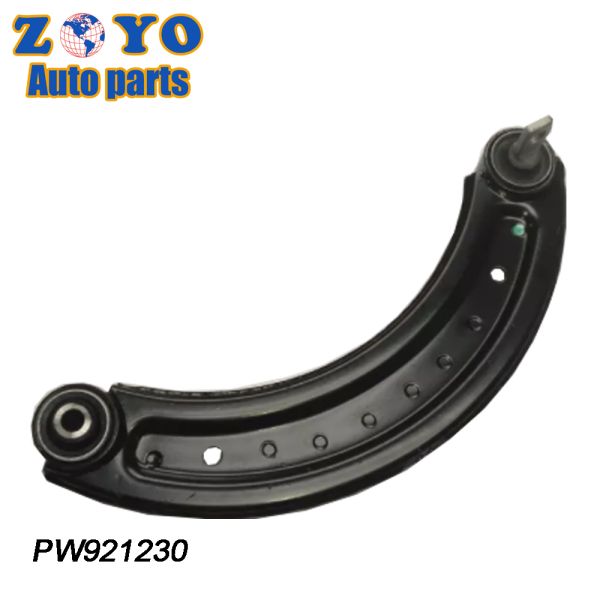 Proton Preve Wira 2013-2016 Car Accessories Front Lower Control Arm with 8708809000