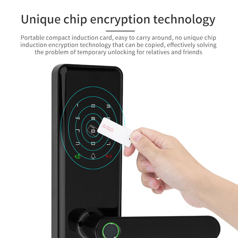 Zinc Alloy IML Intelligent Door Lock Tuya Smart Lock Wifi Bluetooth