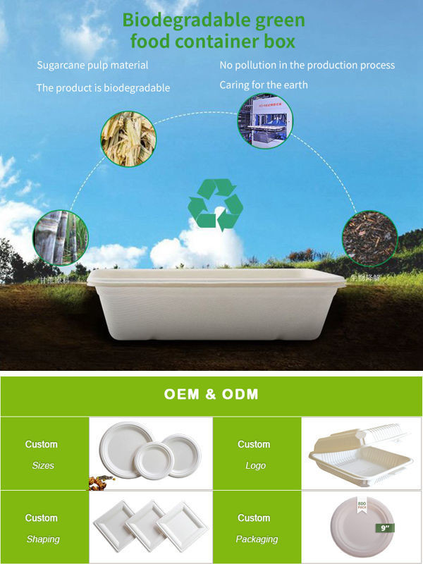 OEM Disposable Food Packaging Containers FSC Sugarcane Disposable Bowl Plates
