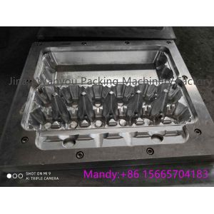 Automatic Small Egg Tray Making Machine With Egg Carton Mold