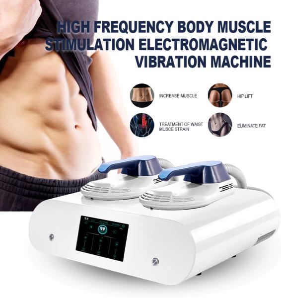 Quality Portable ems body sculpting machine home use 2 handles cellulite reduction rf skin tightening body sculpting machine for sale