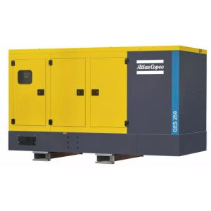 China High Performance Power Generator QES250 Water Cooling wholesale