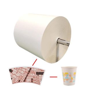 Polyethylene Coated Paper greaseproof paper roll for paper cups