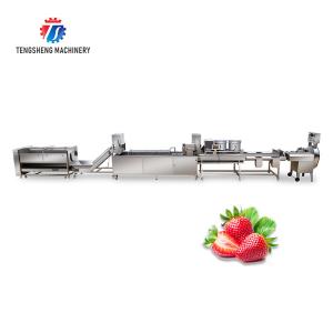 China SS304 Fruit And Vegetable Processing Line For Central Kitchens wholesale