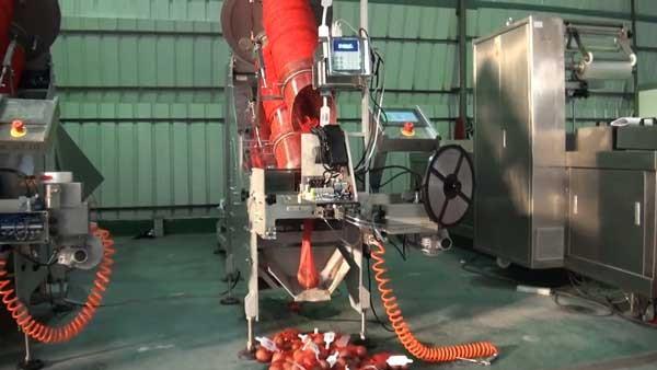 Quality Number Counting Net Bag Clipping Line for sale