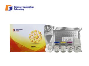 96 Wells Mouse High Specificity and Sensitivity IFNG ELISA Kit 48 Wells For Research