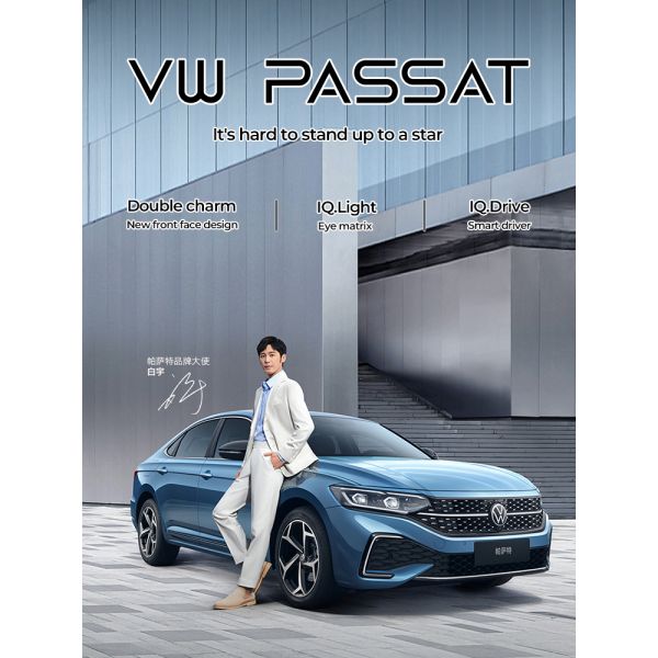 Volkswagen Passat Used Motor Vehicle Used Gasoline Cars 250 N·M