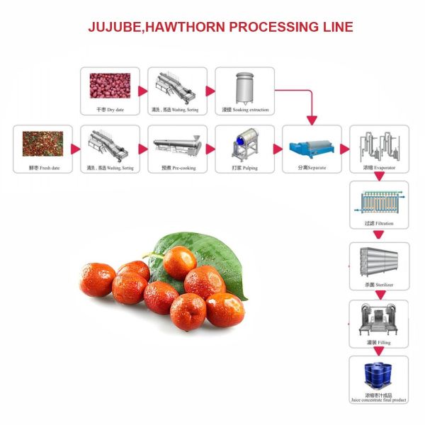 Factory Customized turn-key project full automatic hawthorn processing line