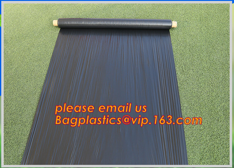 HOTICULTURAL MULCH FILM,AGRICULTURAL PE FILM,MARKET GARDENERS CLOCHE FILM,PE FILM FOR CORN,PLASTIC FILM COVER,TOMATO COV