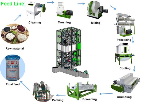 Quality Capacity 3 - 5 Ton/H Feed Pellet Production Line Chicken Feed Making Machine for sale
