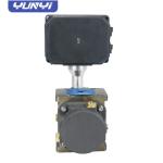 Roots Flow Meter Customizable OEM Natural Flowmeter I2c Rs485 Lpg Gas Regulator