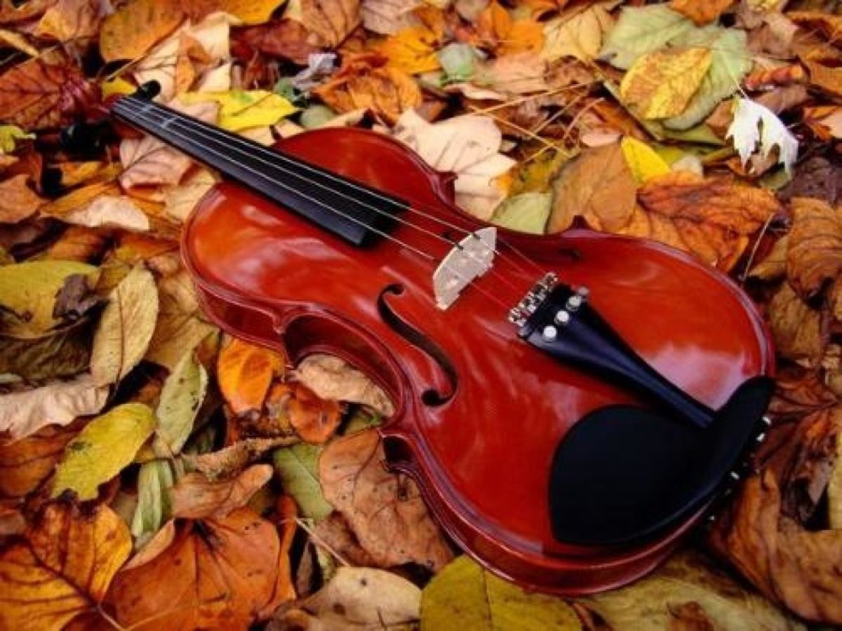 High glossy Children Violin 1/4 size with violin pickup Violins have many strings, including nylon strings, steel string