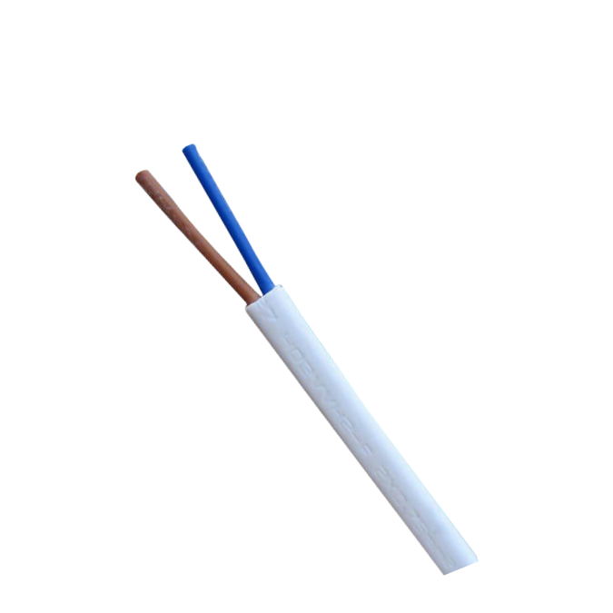 Electric Material Multicore Cable Hd3vvh2 f with 2 Cores Copper Conductor Electrical Wires 0.5mm2 0.75mm2 Sq