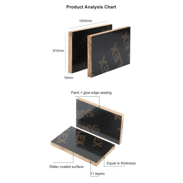 Template Grade Formwork Plywood 1220x2440 Film Faced Shuttering Plywood