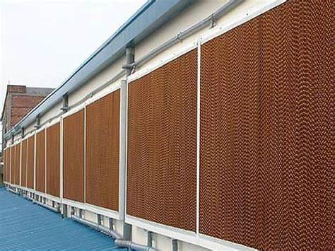 Reefer Container Greenhouse Leafy Vegetables