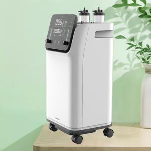China OEM Class II Oxygen Breathing Machine 10L Dual Flow wholesale