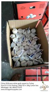 China Purewhite garlic export to Turkey by Pioneer garlic.5.0-5.5cm;200g*50 in 10kg carton box wholesale