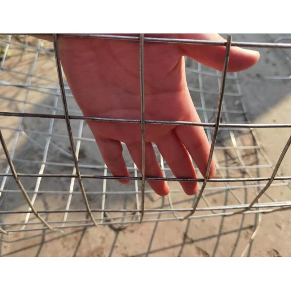 0.5m Welded Wire Mesh 2m Stainless Steel 201 Welded Fence Mesh 3/8" X 3/8"