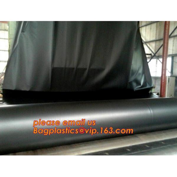 Eco-Friendly Hdpe Geomembrane Liner Geomembrane Price,Eco-Friendly Hdpe Geomembrane Liner Waterproofing Membranes BAGEAS