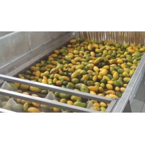 China High Effective Small Scale Mango Processing Plant High Extracting Rate wholesale