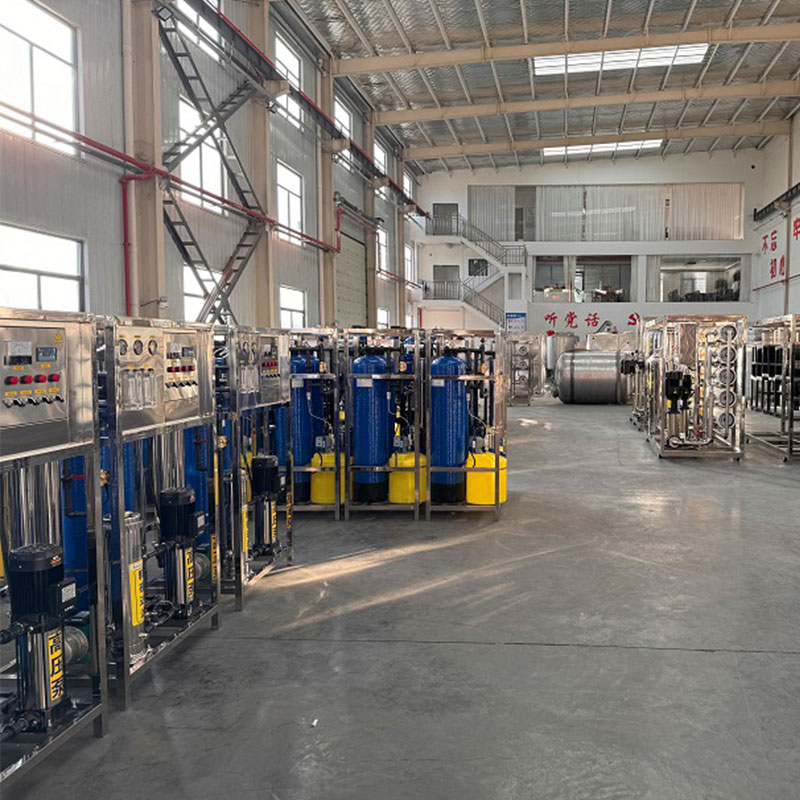 1000 Liters 264 Gallons/hour Assembled Well Water Purification Water Treatment Equipment Drinking Water Purifier